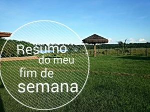 RESUMO DO MEU FIM DE SEMANA 28 wpid-img_20150210_160131.jpg