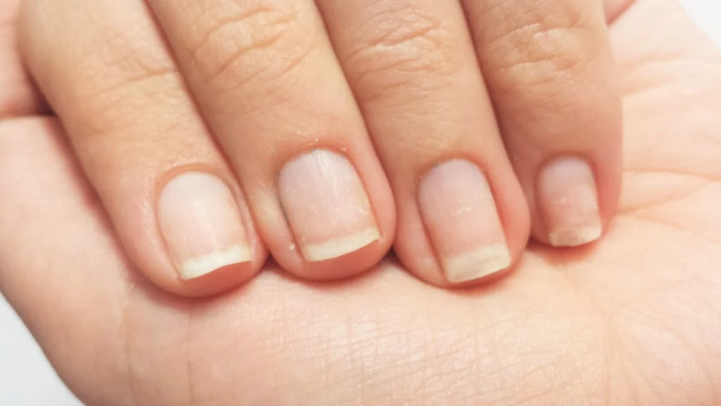 unhas natural unhas natural