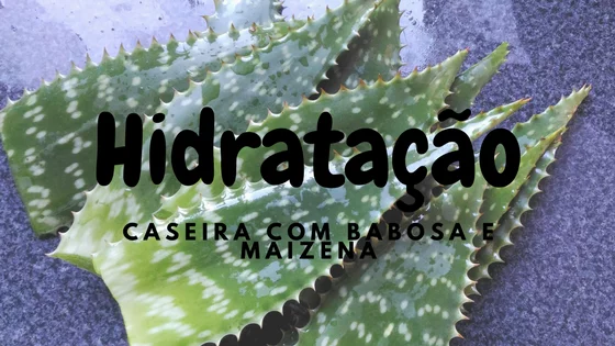 Hidratação caseira com Babosa e amido de milho 33 Hidratação caseira com babosa e maizena - Ta chick