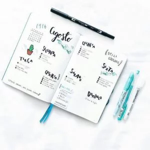 Bullet Journal para você começar o ano produtivo 28 5f7e8a6517b1332d9304f5bfcaf110b5 - Ta chick