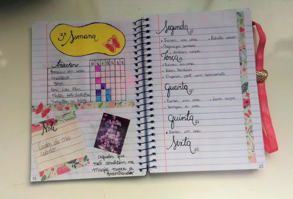 meu bullet journal meu bullet journal