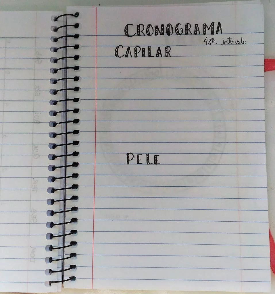coleções bullet journal coleções bullet journal