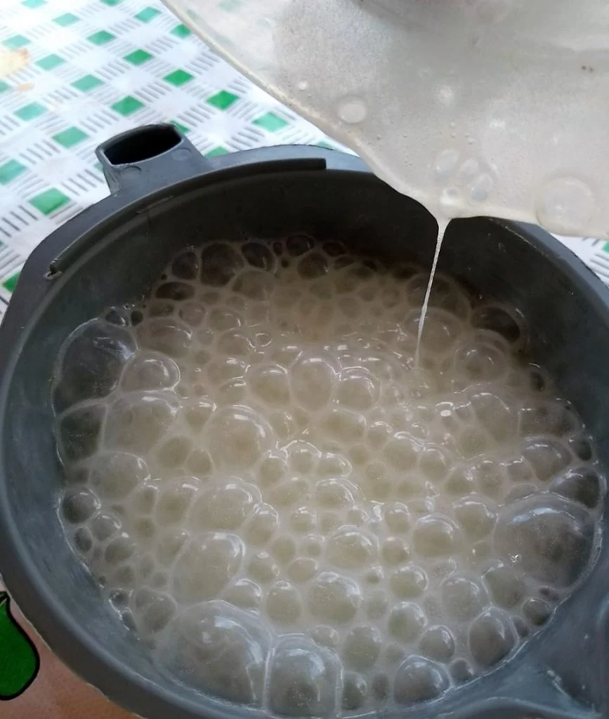 Gel da Babosa batido no liquidificador Gel da Babosa Hidratação com Babosa