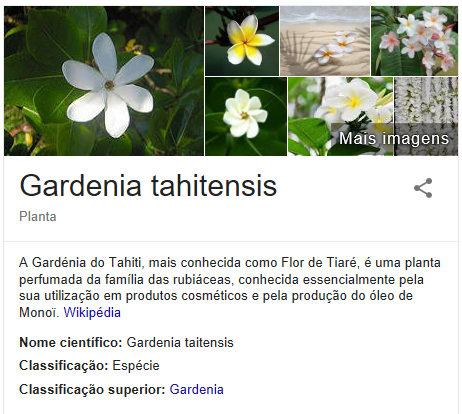 Flor de Tiaré Flor de Tiaré