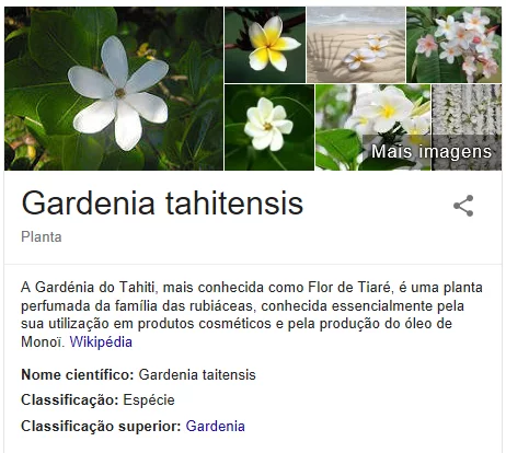 Flor de Tiaré Flor de Tiaré