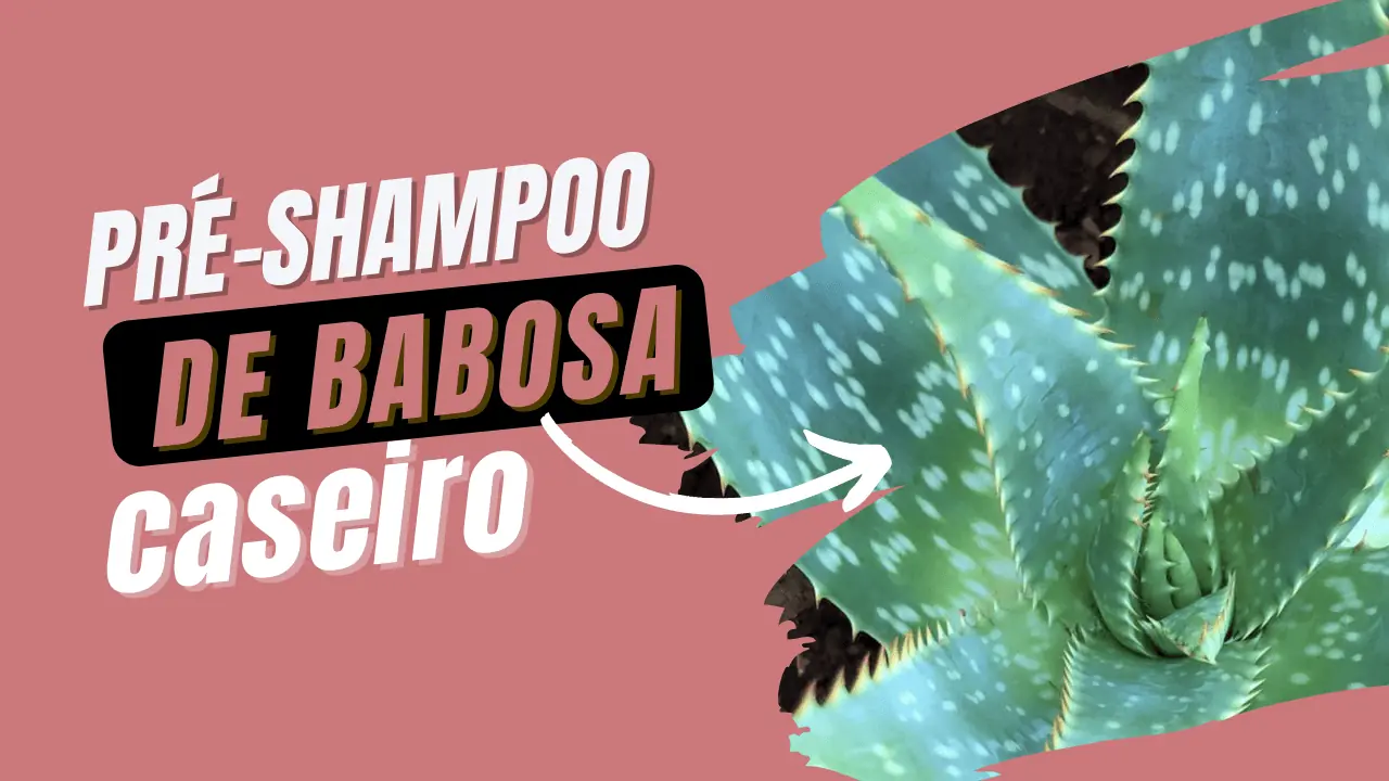 Pré-poo de Babosa Caseiro para o Cabelo Crescer saudável 66 Pre poo de babosa caseiro - Ta chick